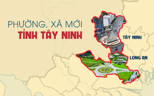 Dịch Vụ Google Map Tại Tây Ninh