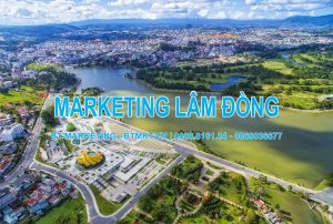 Dịch vụ Digital Marketing Lâm Đồng - Đa Nền tảng - Thực chiến